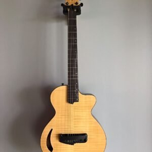 Atlantis Guitar - Wide Body